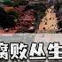 菲律宾怎么了 人均GDP曾堪比日本 移植美国制度未必成发达国家
