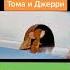 Удалённая ужасная серия Том и Джерри