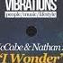 Sean McCabe Nathan Adams I Wonder Louie Vega Roots Mix