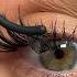 SUPER EASY Individual Cluster Lash Application Tutorial With Lash Map