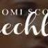 Speechless Naomi Scott Lyrics Video