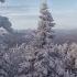 Звуки зимнего леса Sounds Of The Winter Forest звукиприроды Nature Mountains Hiking