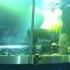 Shlomi Revah Live Show Malina Club Haifa 27 05 2012