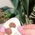 Kinder Joy Sound