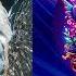 Avaddon Against All Ødds Holding On Nick Schwenderling Remix Be Free Recordings