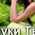 Вот новый день христианское караоке
