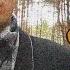 О Смирении Скандалю со всеми Стал нервный