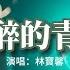 林寶馨 沉醉的青絲 如果回憶容易 我會想你念你 假裝你在這裡 那本舊的日曆 翻了日期 告訴我牢記不容易 動態歌詞MV