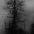 Xasthur Screaming At Forgotten Fears