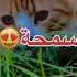 طه سليمان دوم تيك تيك جديد2021