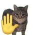 Uia Uia Cat Meme
