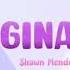 Shawn Mendes Imagination AUDIO Shawnmendes Imagination