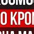 КОСМОС Почему инвестировать нужно было еще вчера