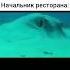 Че за фигня блин Memes мем мемы Skibiditoilet приколы рекомендации New