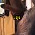 Ape Goes Viral Using Smartphone Like A Pro