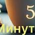 5 МИНУТ ТОРЫ ВЫПУСК 357 АУДИО
