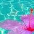 My Core Pinterest Summer Core Trend Cute Fun Subscribe