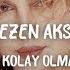 Sezen Aksu Unut Kolay Olmayacak Durmuş Doğan Remix