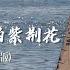 心中的紫荆花 Dj版伴奏