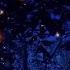 Enya Even In The Shadows Official Lyric Video