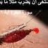 مثل بعوضة فما فوقها د فريد الأنصاري Dr Farid Alansari