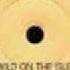 Linda Wesley Wild On The Isle Extended Re Mix Wmv