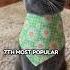 10 Most Popular Female Cat Names Of 2023 What S Your Cats Name And Did It Make The List Cats