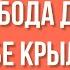 Храбрость Радость жить рискуя 6 Раджниш Ошо