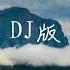 心上人 DJ版