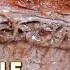 Beef Brisket Texas Style Perfect Brisket In 6 Hours