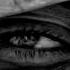Guy Mantzur Trees Of Eden Original Mix
