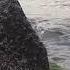 Нежный Шум Моря и Звуки Волн Для Сна и Релакса Морской Бриз на Морском Берегу