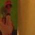 Gogol Bordello Supertheory Of Supereverything From Vinyl