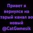 привет толику Music Automobile Musica Dj Remix Cat Catlover Kitty Funny котик