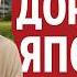 ЯПОНИЯ Куда уходят ВСЕ мои деньги Цены в деревне на землю и еду