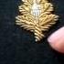 Rare Navy Shoulder Boards