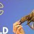Abigail Mac The World Of Webcams