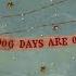 Florence The Machine Dog Days Are Over Official Lyric Video