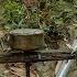 Full Video 4 Days Young Man Repairs Old Turbine And Installs Free Electricity System From Water