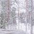 Группа Садко Снег снежок садко новыйгод зима снег Winter