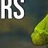 A Complete Beginners Guide To DayZ In 2023 PC PS5 Xbox