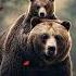 Fathers Of The Wild A Heartwarming Father S Day 2025 Fathersday