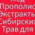 Прополис Мед Экстракты сибирских трав для бодрости и иммунитета Вкусные мармеладки для перекуса