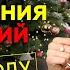 Время любовных чудес Как правильно написать любовные желания чтобы они сбылись в новом году