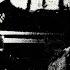 Rancid New American