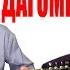 Александр Розенбум Дагомыс