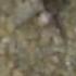 My Name In The Sand