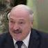 Лукашенко блеснул знаниями в свиноводстве новости беларусь диктатура лукашенко диктатор