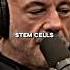 How Stem Cell Therapy Healed Joe Rogan S Knee Injury