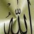 Mohammad Alqalawi Adam W Nooh